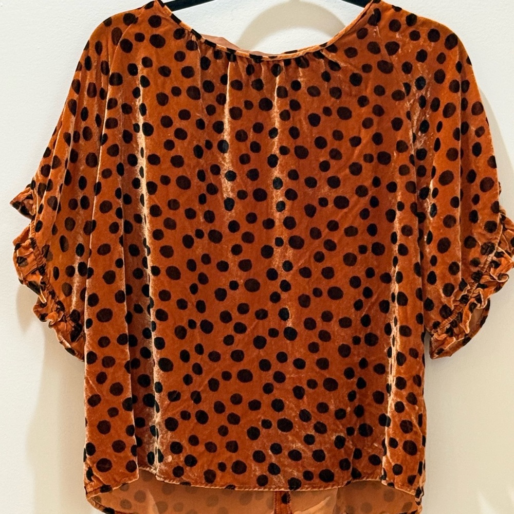 Madewell Rust Velvet Polka Dot Blouse